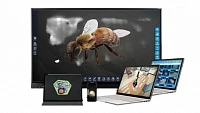 Интерактивное наглядное 3D пособие <Познание: Пчеловодство>